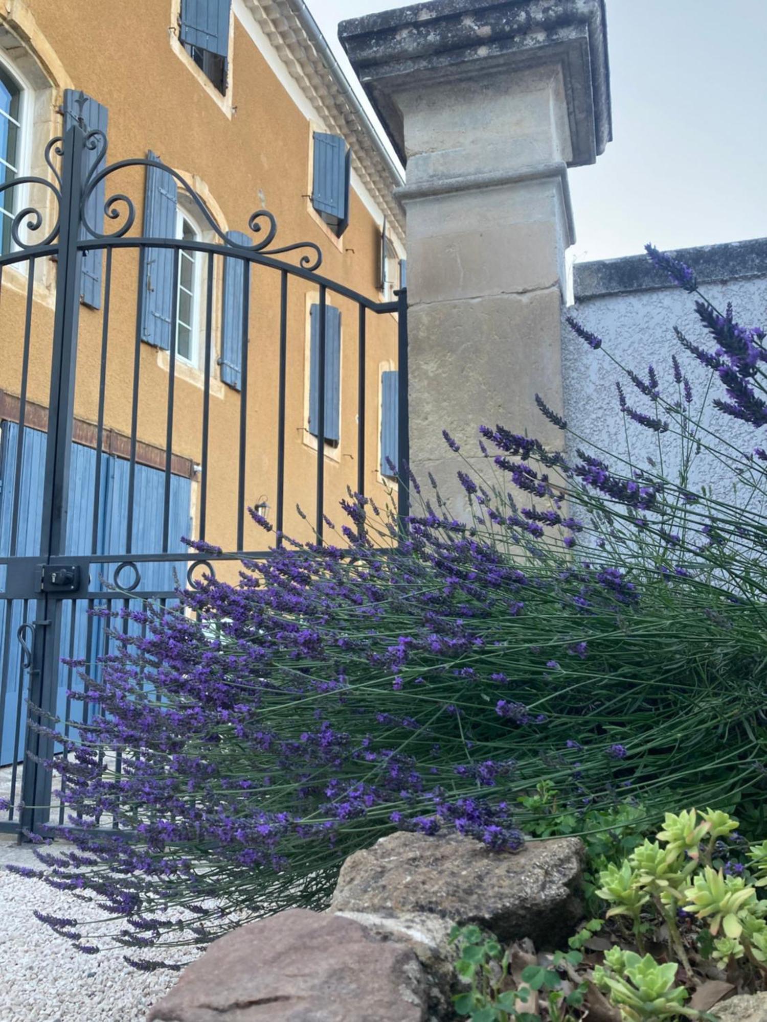 Domaine Forvent Panzió Saint-Julien-de-Peyrolas Kültér fotó