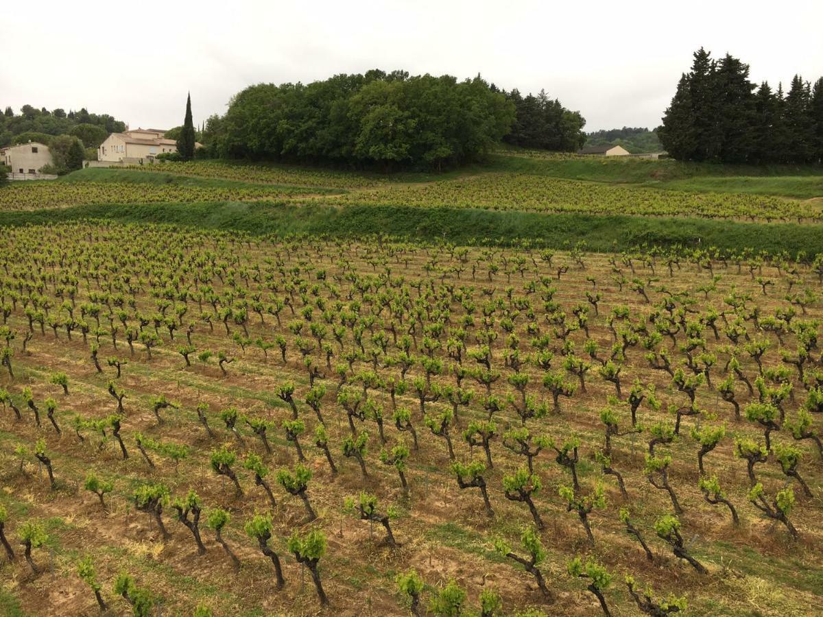 Domaine Forvent Panzió Saint-Julien-de-Peyrolas Kültér fotó